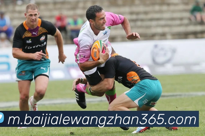 百家乐网站APP 封面图